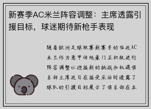 新赛季AC米兰阵容调整：主席透露引援目标，球迷期待新枪手表现